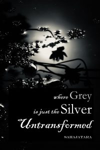 Where Grey Is Just the Silver Untransformed